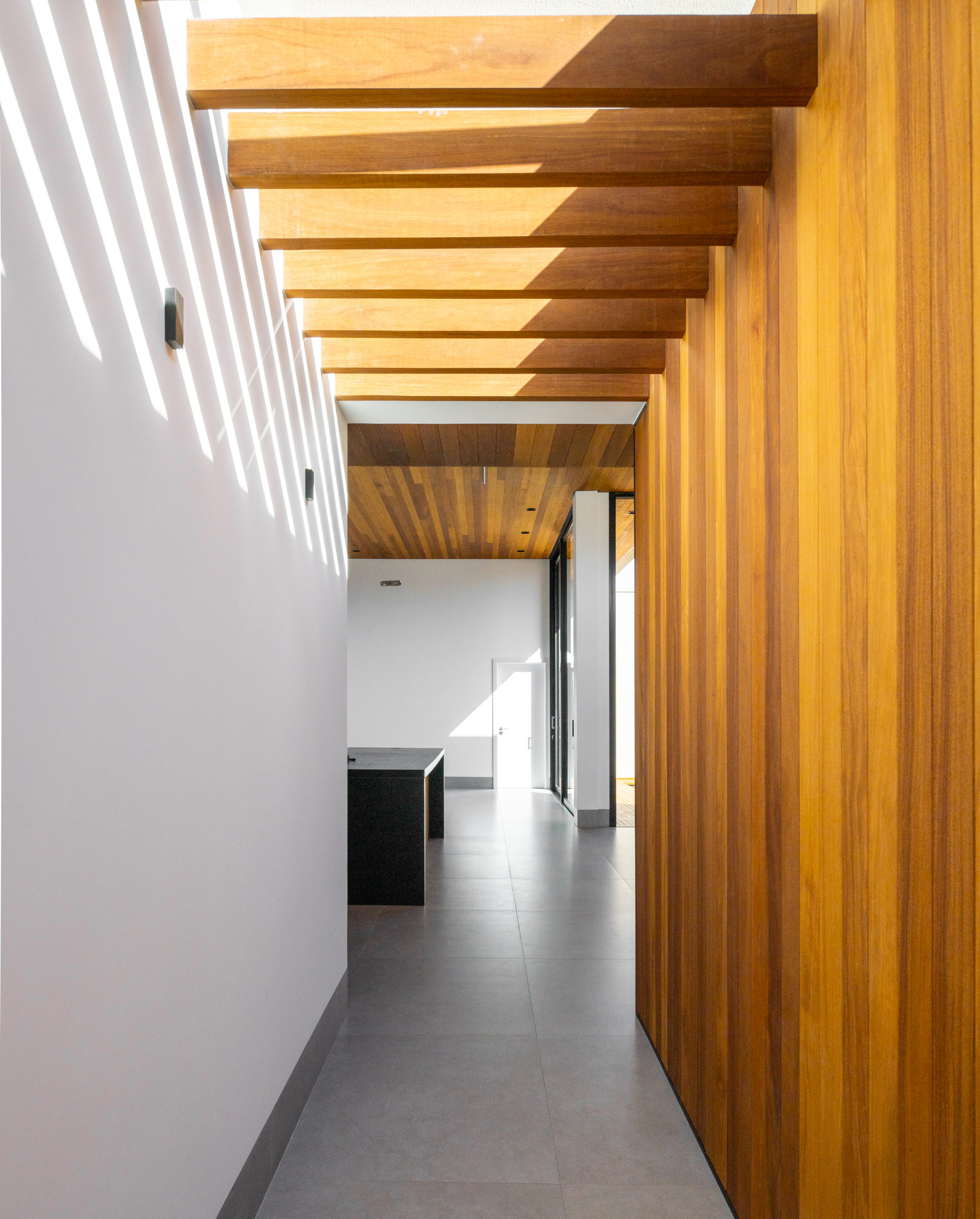 _08A0664 copyright manuel sa