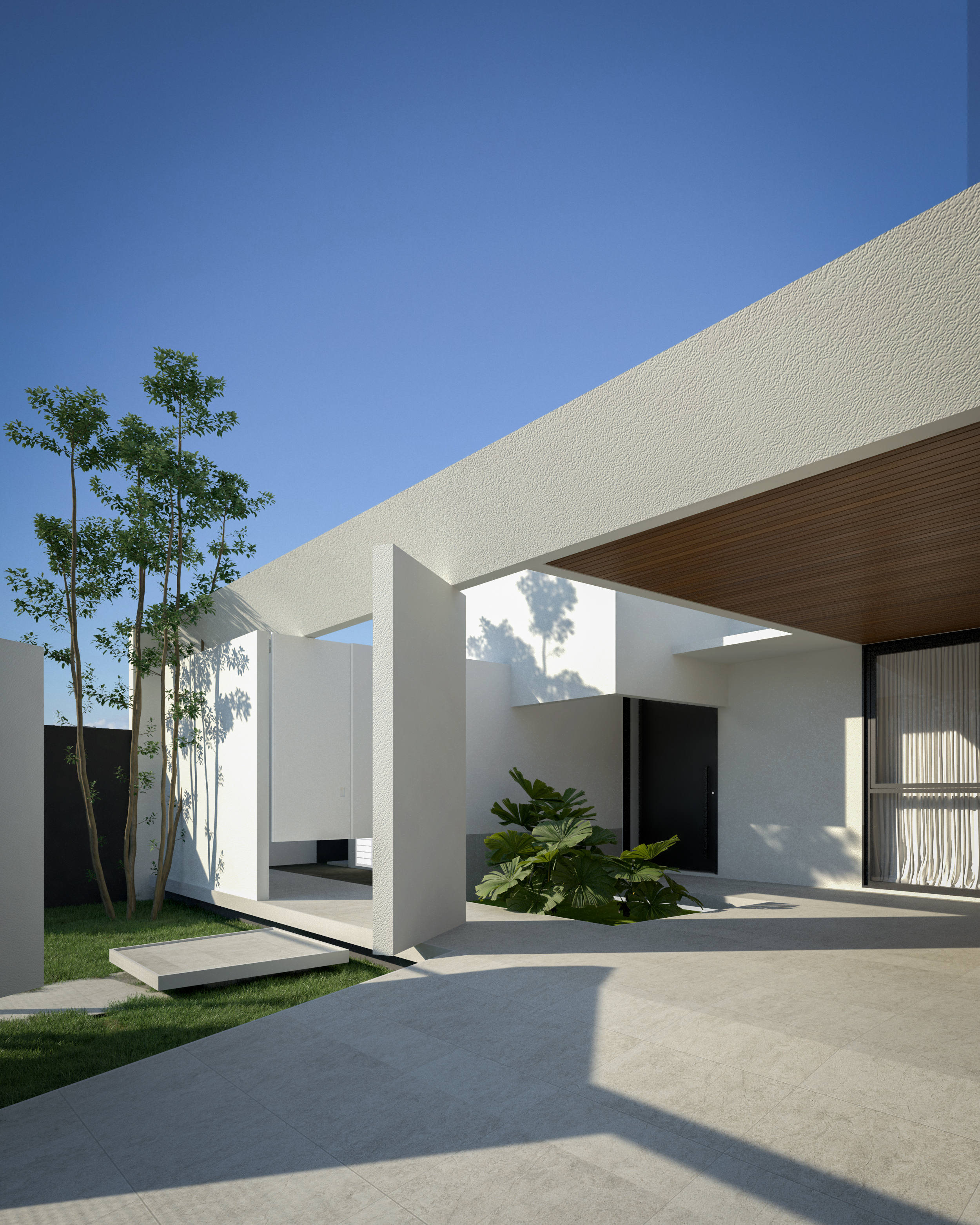 Estudo B – 4 branco