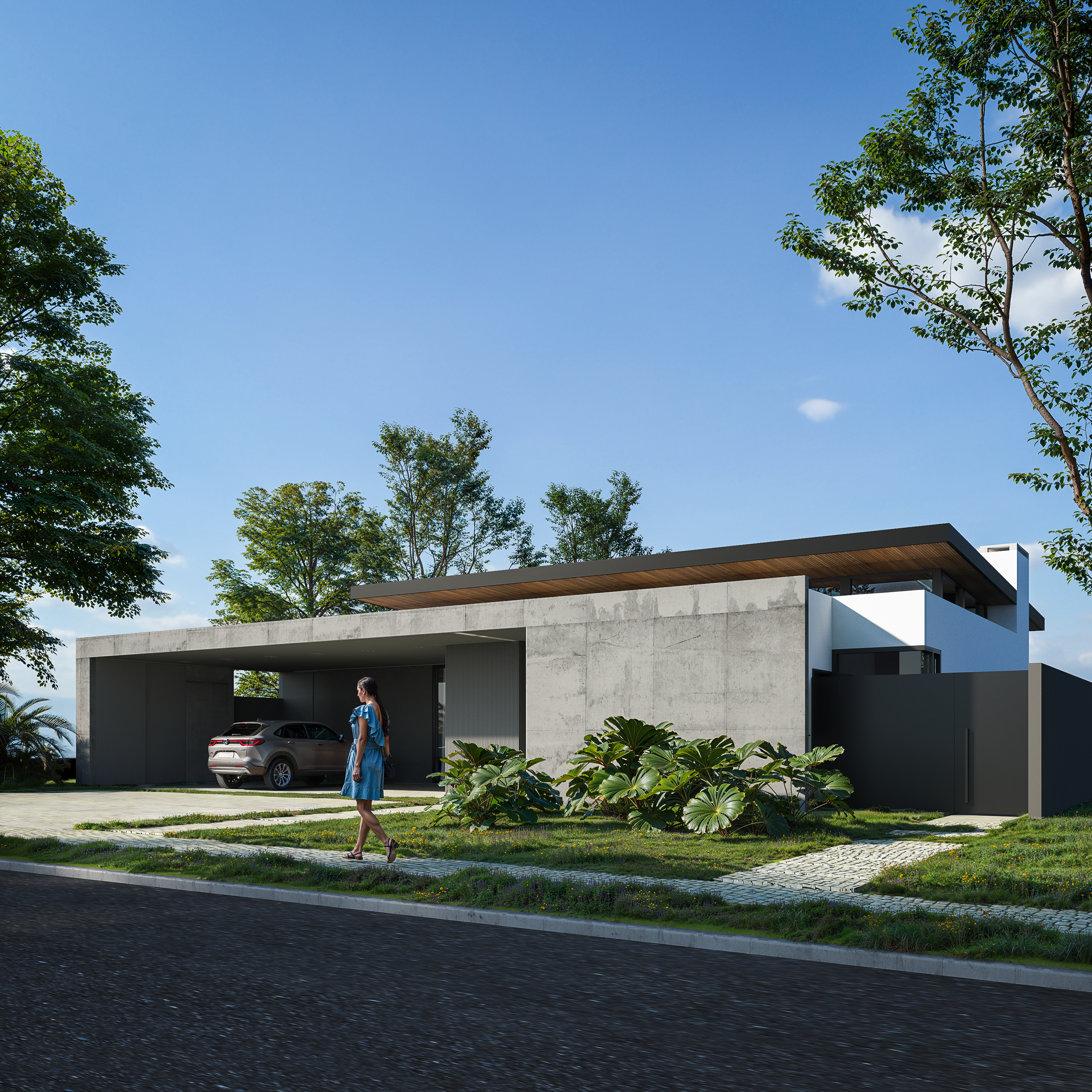 Estudo D – 1 Estudo D – 1