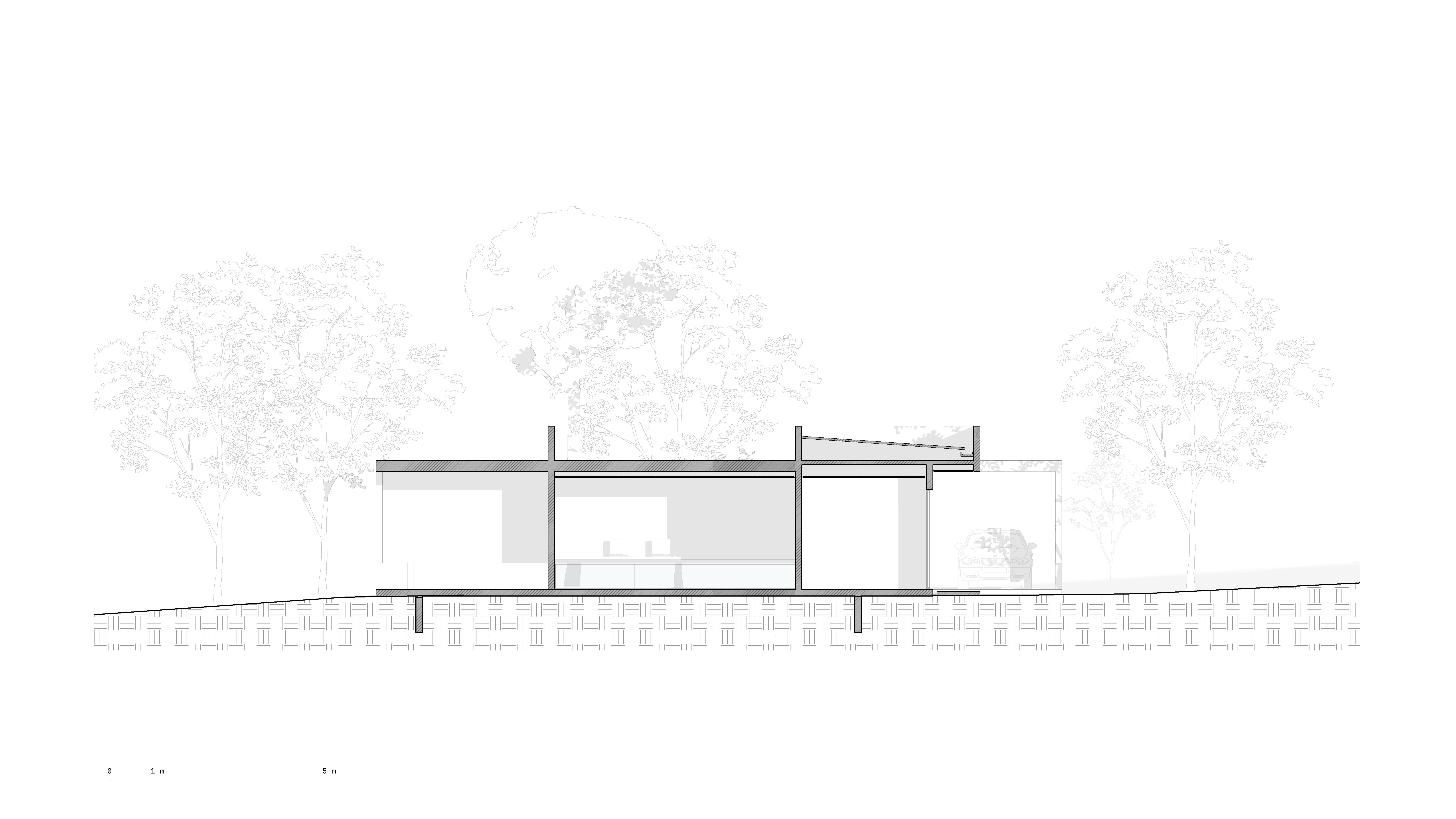 200_SITE 03_CORTE BB